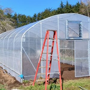 INVERNADERO 60M2 // 6Mx10M